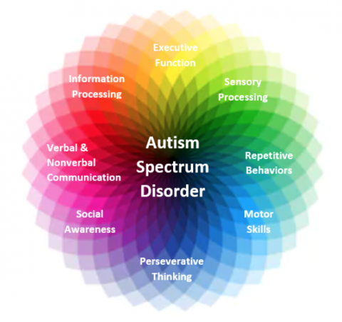 Autism Spectrum Wheel